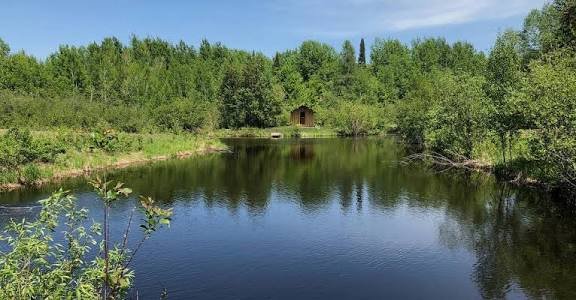 image_1780335453945
