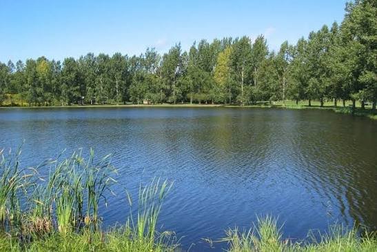 image_1780335453944