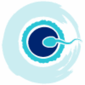 Profile photo of batra-rudrakshgmail-com