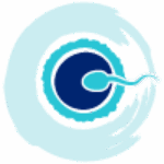 batra-rudrakshgmail-com-2-2-2-2-2-2-2-2-2-2-2-2--2